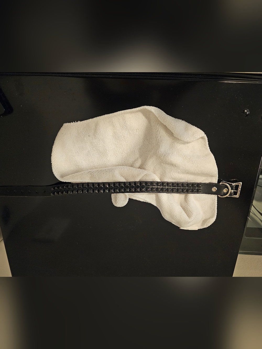 Tripp NYC tudded Black Leather Choker